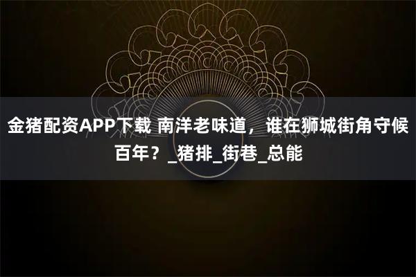 金猪配资APP下载 南洋老味道，谁在狮城街角守候百年？_猪排_街巷_总能