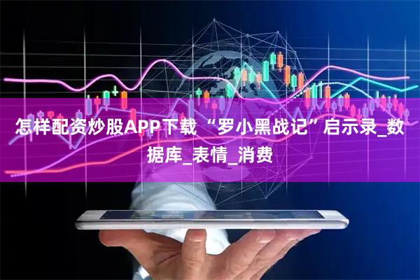 怎样配资炒股APP下载 “罗小黑战记”启示录_数据库_表情_消费
