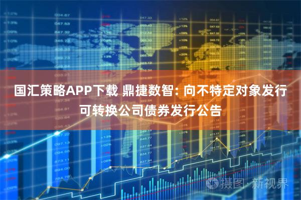国汇策略APP下载 鼎捷数智: 向不特定对象发行可转换公司债券发行公告